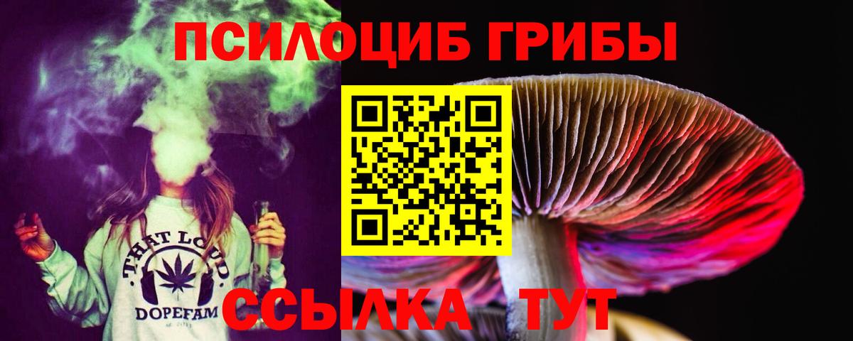 Галлюциногенные грибы мицелий Котовск