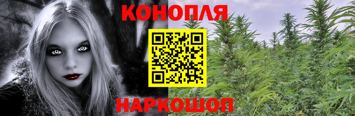 Канабис индика  Вход с VPN  Котовск  Бошки Шишки Amnesia 